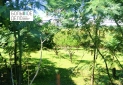 IMG_20260717_143942